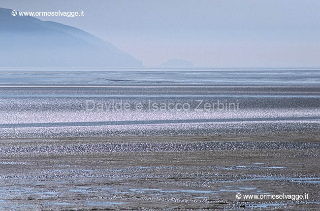 Turnagain arm 47-33-07